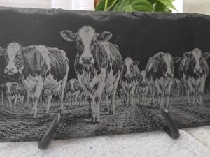 Slate engraved with cows coming down a farm lane