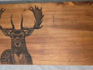 Ready to ship engraved fallow deer board, 605mm x 330mm x 40mm