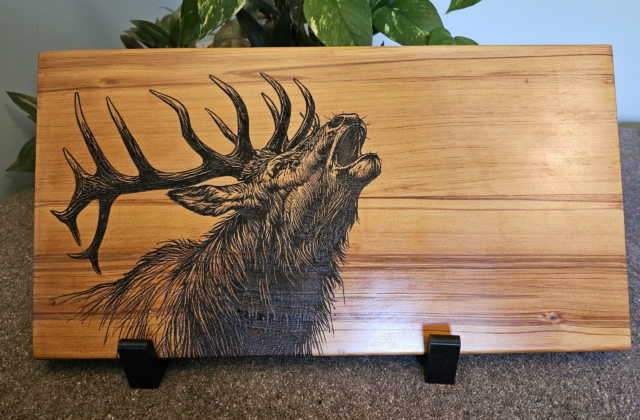 Fallow Head