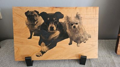 Display Boards gallery image: 20250313_111409